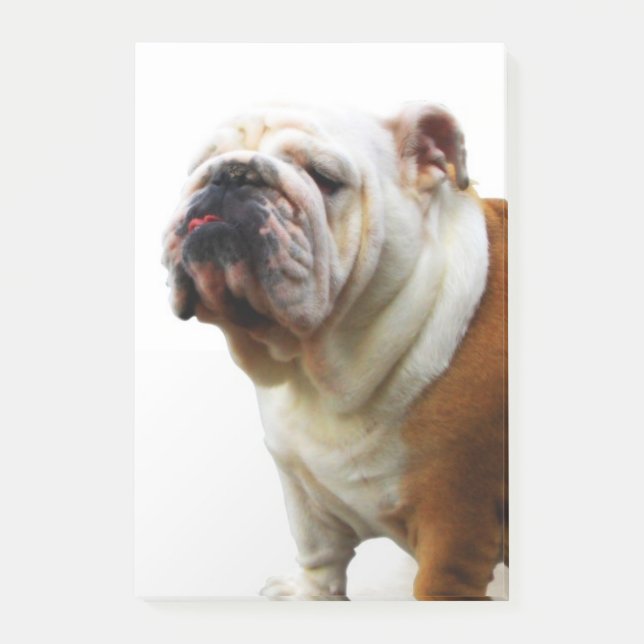 Notas Post-it® Bulldog (Anverso)