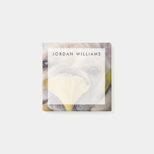 Notas Post-it® Bulldog francés adorable (Anverso)