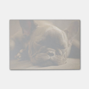 Notas Post-it® Bulldog francés soñoliento