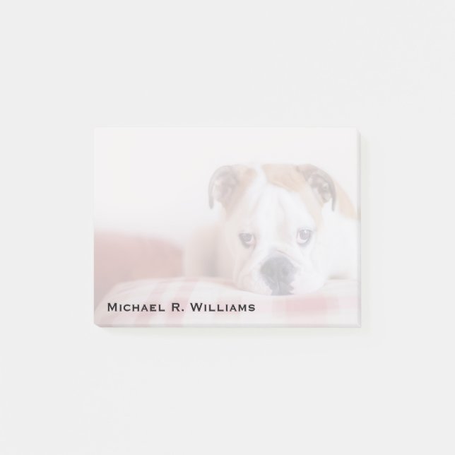 Notas Post-it® Bulldog tímido inglés (Anverso)