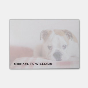 Notas Post-it® Bulldog tímido inglés