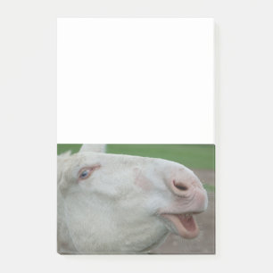 Notas Post-it® Burro barroco blanco