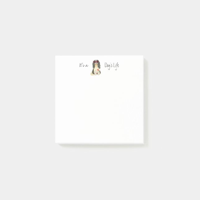 Notas Post-it® Caballero de Verano (Anverso)