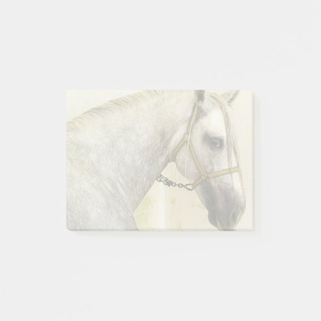Notas Post-it® Caballo andaluz gris de manzana (Anverso)