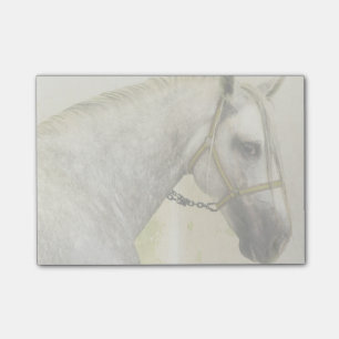 Notas Post-it® Caballo andaluz gris de manzana