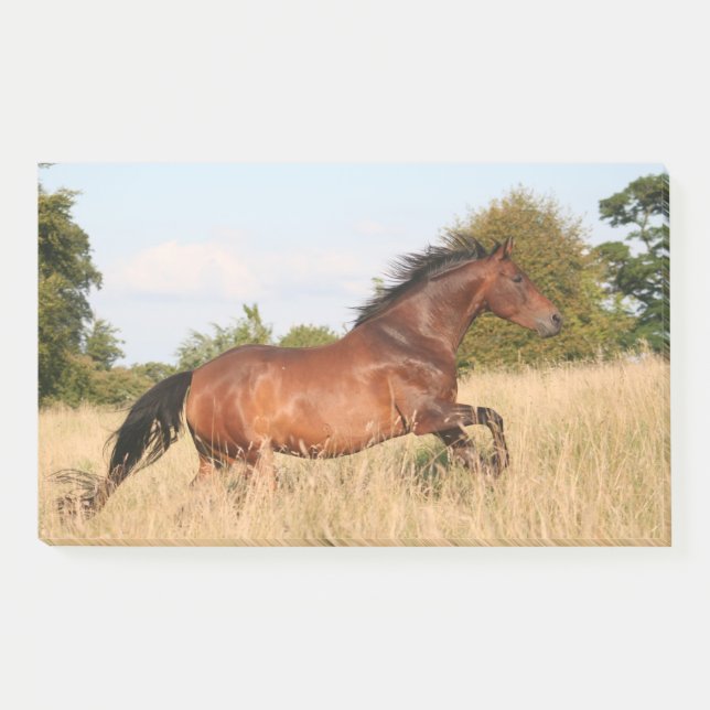Notas Post-it® Caballo corriendo en campo (Anverso)