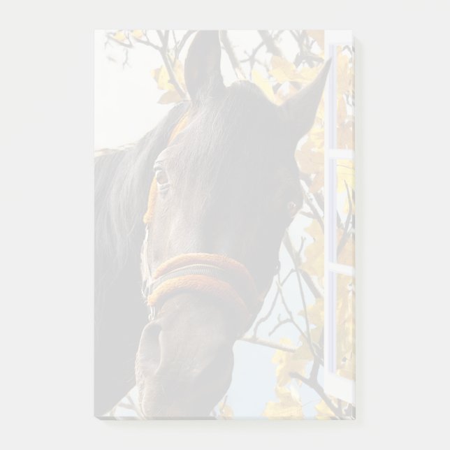Notas Post-it® Caballo Curioso Mirando Por La Ventana De La Cocin (Anverso)