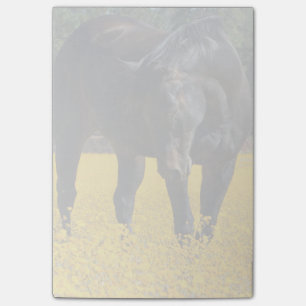 Notas Post-it® Caballo de Bahía en un campo de flores amarillas