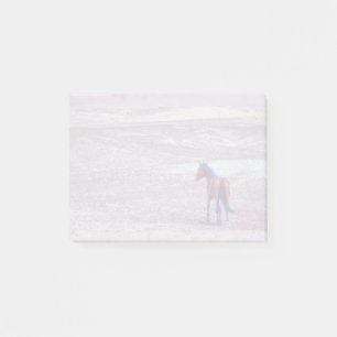 Notas Post-it® Caballo desierto P8640