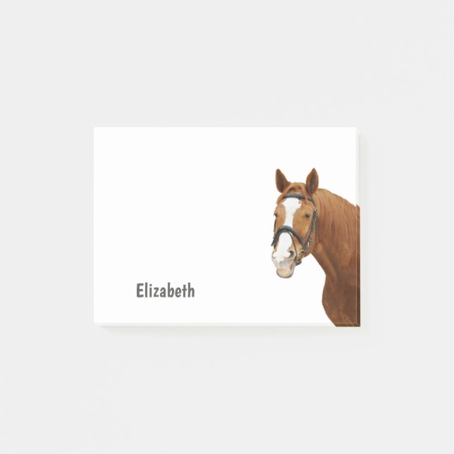 Notas Post-it® Caballo Divertido Personalizado Nombre (Anverso)