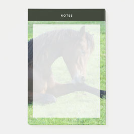 Notas Post-it® Caballo marrón bonito en la hierba