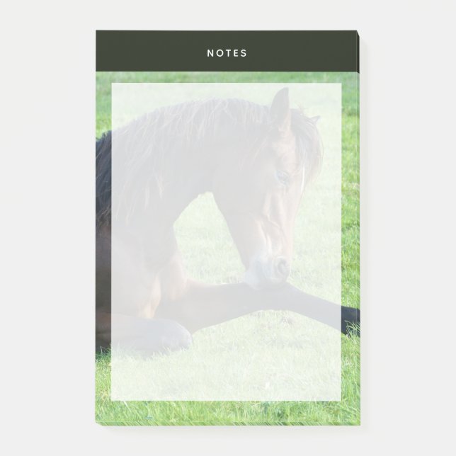 Notas Post-it® Caballo marrón bonito en la hierba (Anverso)