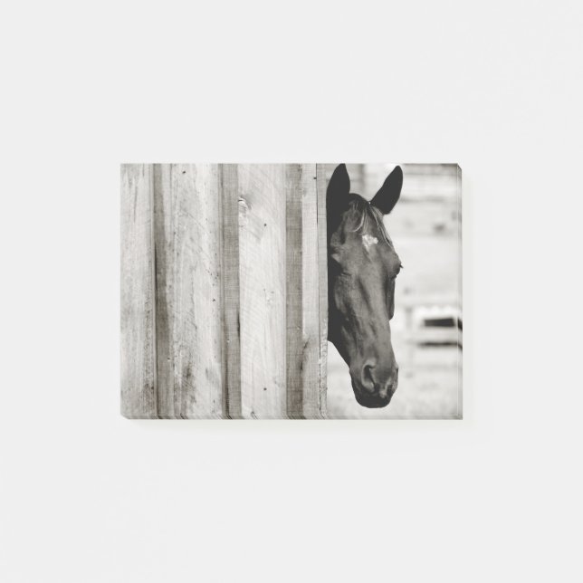 Notas Post-it® Caballo negro curioso (Anverso)