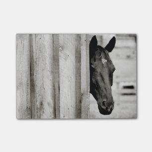 Notas Post-it® Caballo negro curioso
