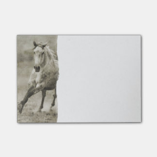 Notas Post-it® Caballo rustico galopante andaluz