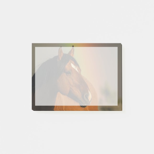 Notas Post-it® Caballo salvaje, luz dorada y arcoíris (Anverso)