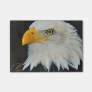 Notas Post-it® Cabeza de Eagle