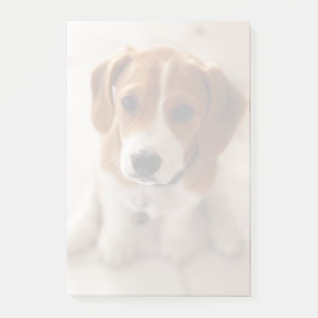 Notas Post-it® Cachorro beagle 2 (Anverso)
