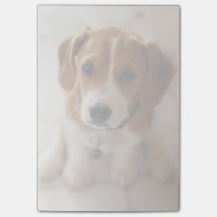 Notas Post-it® Cachorro beagle 2
