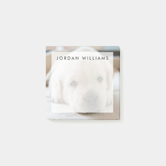 Notas Post-it® Cachorro dorado dorado (Anverso)