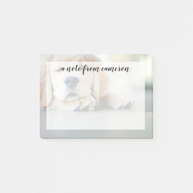 Notas Post-it® Cachorro dorado espantoso (Anverso)