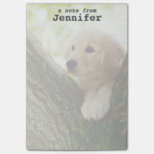 Notas Post-it® Cachorros De Labrador Sentados En Un Entorno De Bo