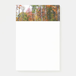 Notas Post-it® Caída en la colorida fotografía de otoño en el bos