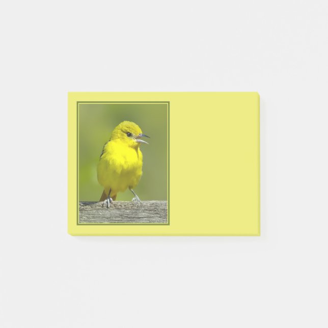 Notas Post-it® Calandria de Huerta - Fotografía Original (Anverso)