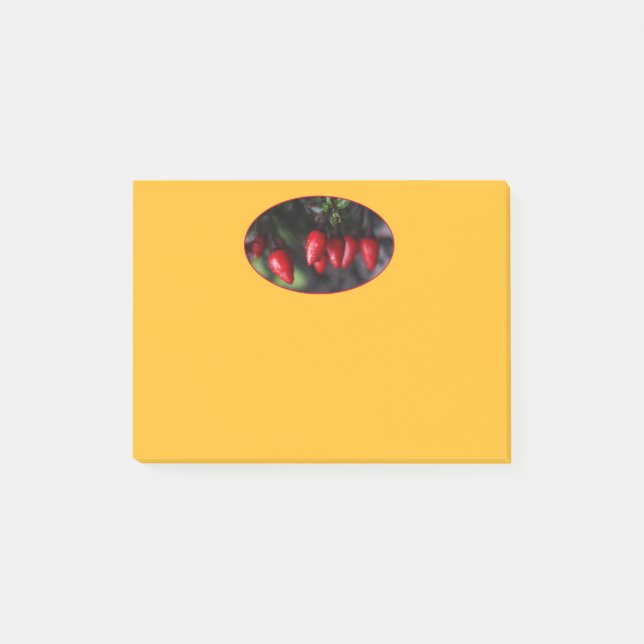 Notas Post-it® Calderón rojo Salsa Chili Peppers. (Anverso)