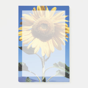 Notas Post-it® California, Un Girasol Gigante (Helianthus) 3