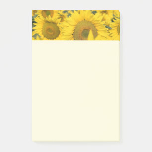 Notas Post-it® Campo amarillo de girasoles, fotografía
