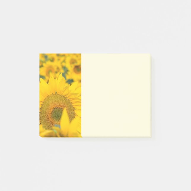 Notas Post-it® Campo amarillo de girasoles, fotografía (Anverso)