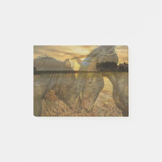 Notas Post-it® Campo de granja de caballos (Anverso)
