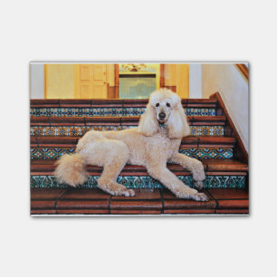 Notas Post-it® Caniche estándar del albaricoque - Bocelli