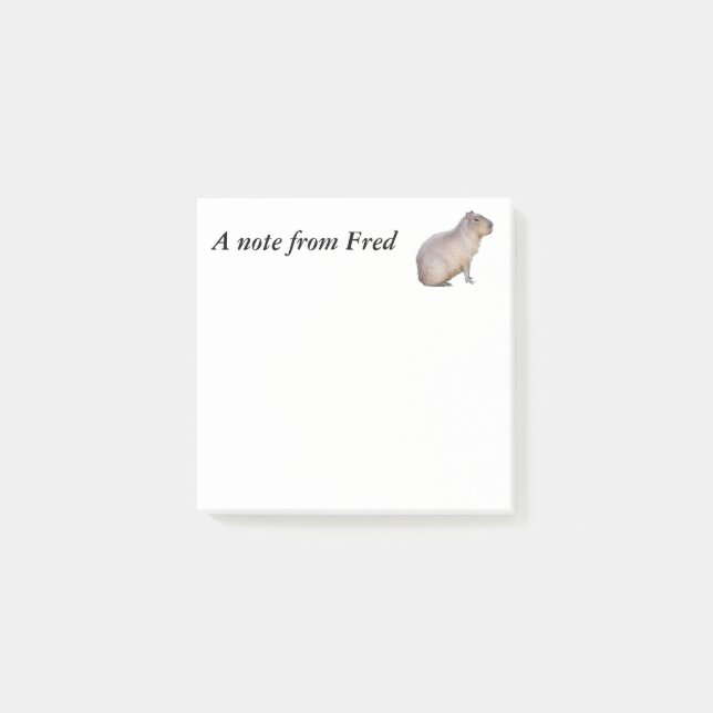 Notas Post-it® Capibara (Anverso)