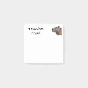 Notas Post-it® Capibara