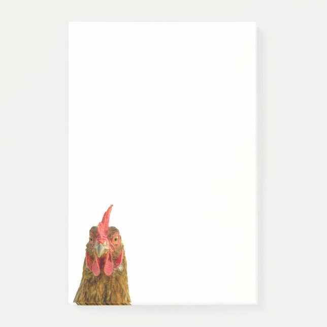 Notas Post-it® Cara divertida de pollo (Anverso)