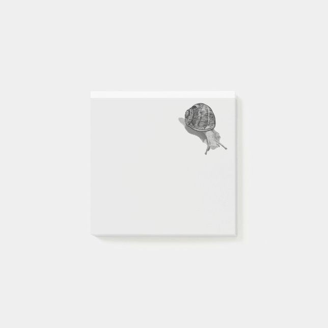 Notas Post-it® Caracol pintado (Anverso)