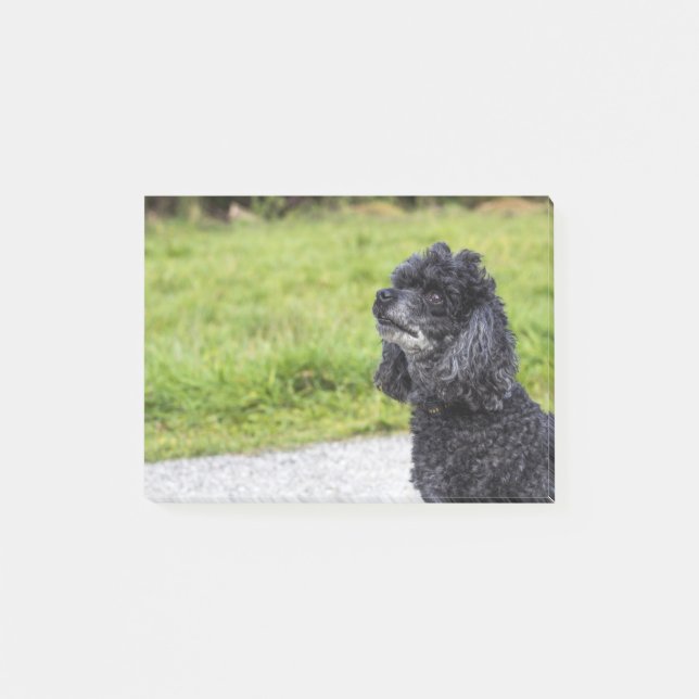 Notas Post-it® Carbón negro 2 (Anverso)