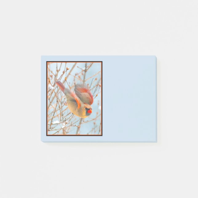 Notas Post-it® Cardenal norte volando - Fotografía original (Anverso)