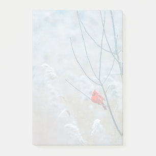 Notas Post-it® Cardenal rojo en Navidades de fotografía de natura