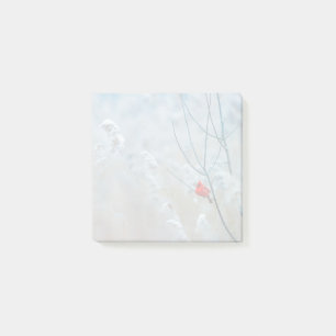 Notas Post-it® Cardenal rojo en Navidades de fotografía de natura