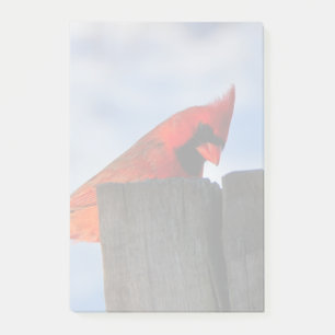 Notas Post-it® Cardenal rojo sobre trozos de madera