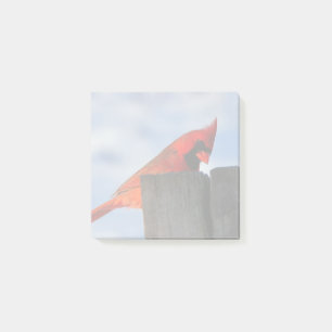 Notas Post-it® Cardenal rojo sobre trozos de madera