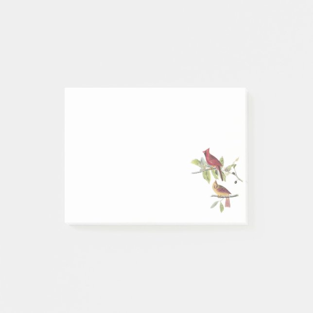 Notas Post-it® Cardenal septentrional por Audubon (Anverso)
