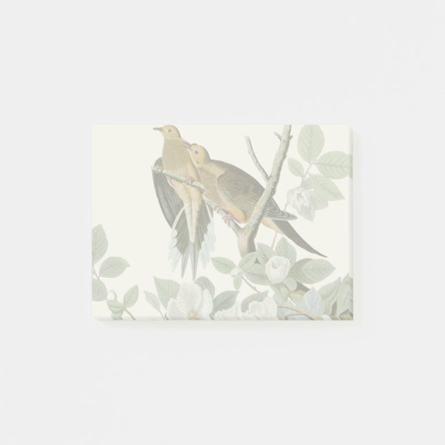 Notas Post-it® Carolina Pigeon Audubon Morning Dove (Anverso)
