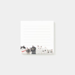 Notas Post-it® Cat Post it Note
