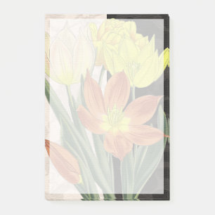 Notas Post-it® Centro II