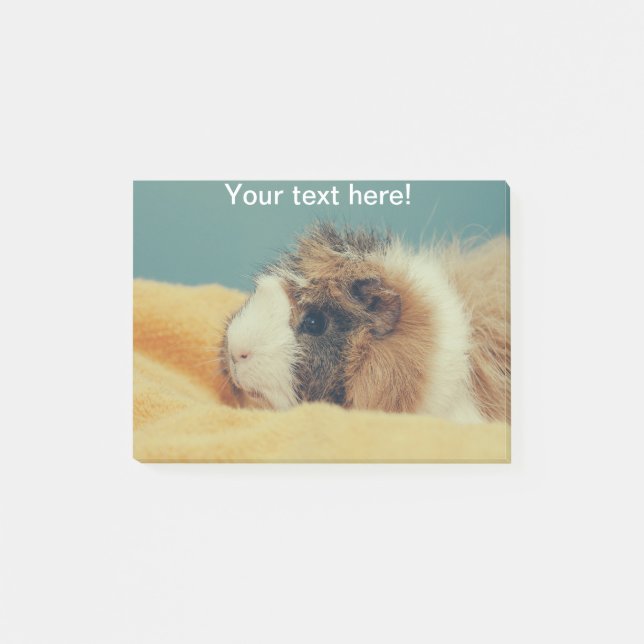 Notas Post-it® Cerdo de Guinea (Anverso)