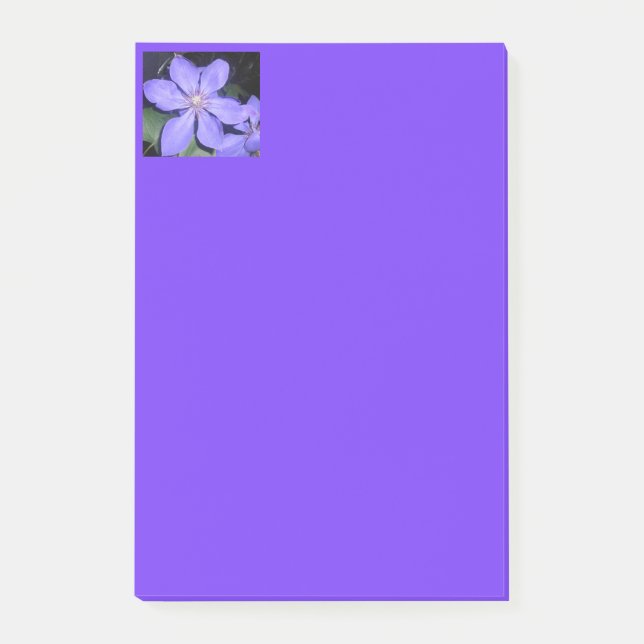 Notas Post-it® Césarina (Anverso)